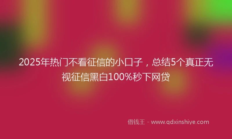 2025年热门不看征信的小口子，总结5个真正无视征信黑白100%秒下网贷