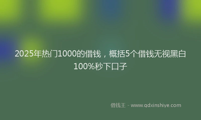 2025年热门1000的借钱，概括5个借钱无视黑白100%秒下口子
