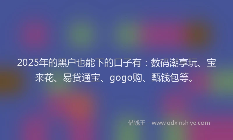 2025年的黑户也能下的口子有：数码潮享玩、宝来花、易贷通宝、gogo购、甄钱包等。