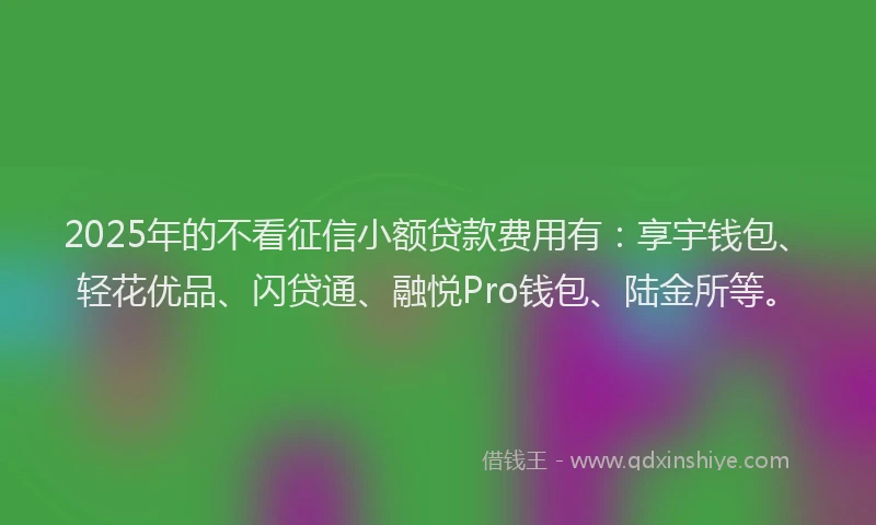 2025年的不看征信小额贷款费用有：享宇钱包、轻花优品、闪贷通、融悦Pro钱包、陆金所等。