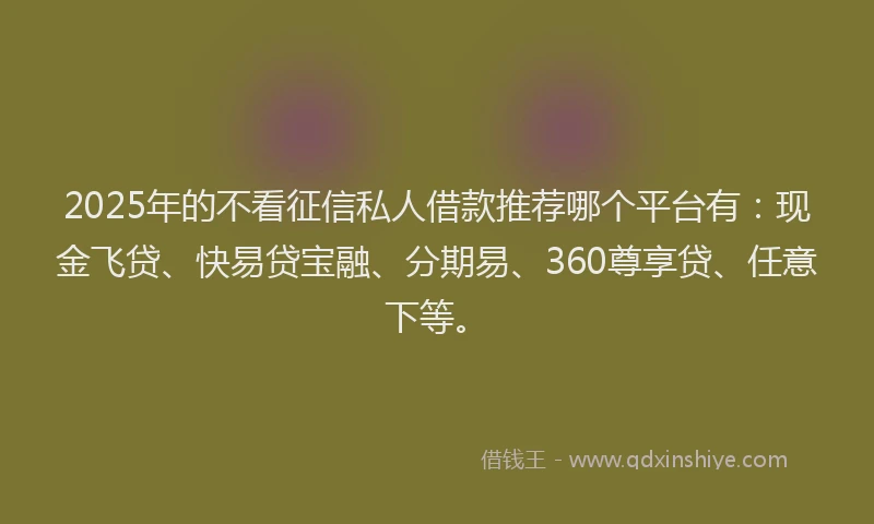 2025年的不看征信私人借款推荐哪个平台有：现金飞贷、快易贷宝融、分期易、360尊享贷、任意下等。