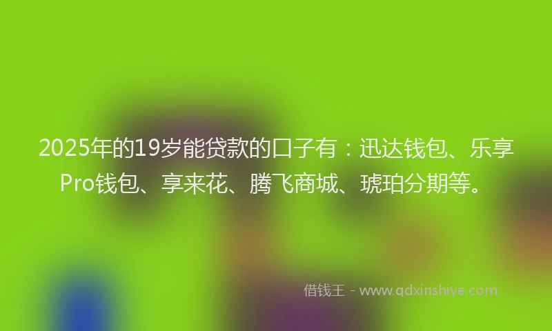 2025年的19岁能贷款的口子有：迅达钱包、乐享Pro钱包、享来花、腾飞商城、琥珀分期等。