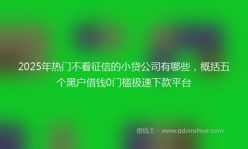 2025年热门不看征信的小贷公司有哪些，概括五个黑户借钱0门槛极速下款平台