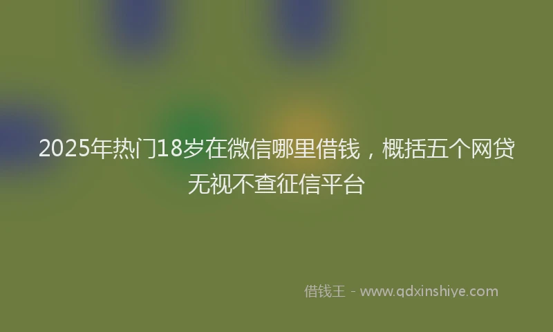 2025年热门18岁在微信哪里借钱，概括五个网贷无视不查征信平台