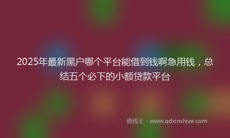 2025年最新黑户哪个平台能借到钱啊急用钱，总结五个必下的小额贷款平台