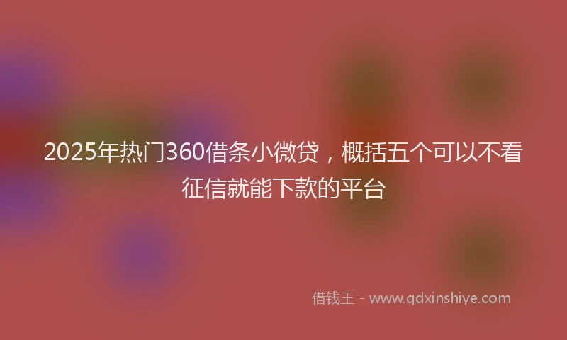 2025年热门360借条小微贷，概括五个可以不看征信就能下款的平台