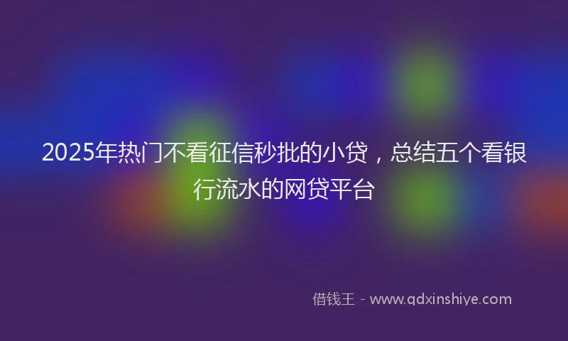 2025年热门不看征信秒批的小贷，总结五个看银行流水的网贷平台