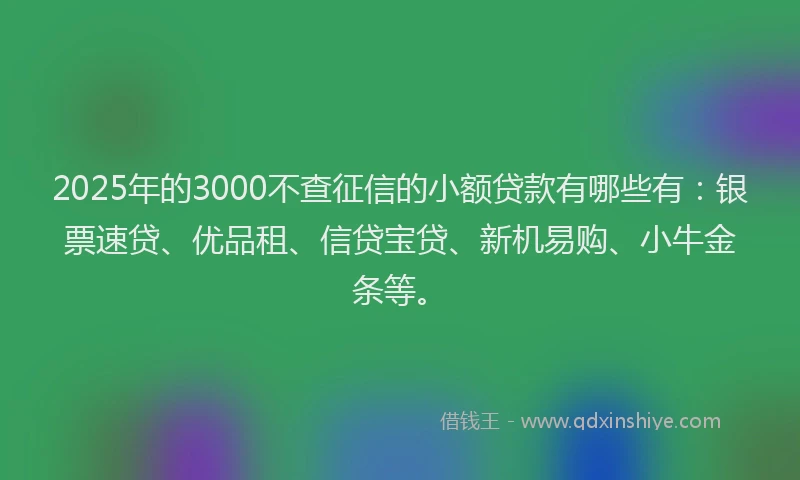 2025年的3000不查征信的小额贷款有哪些有：银票速贷、优品租、信贷宝贷、新机易购、小牛金条等。
