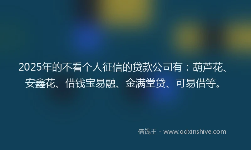 2025年的不看个人征信的贷款公司有：葫芦花、安鑫花、借钱宝易融、金满堂贷、可易借等。