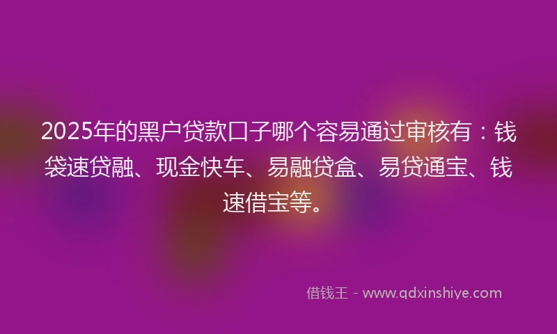 2025年的黑户贷款口子哪个容易通过审核有：钱袋速贷融、现金快车、易融贷盒、易贷通宝、钱速借宝等。