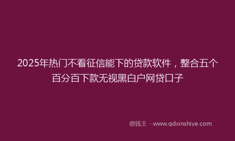 2025年热门不看征信能下的贷款软件，整合五个百分百下款无视黑白户网贷口子