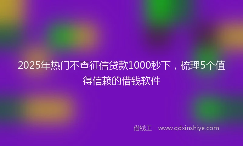 2025年热门不查征信贷款1000秒下，梳理5个值得信赖的借钱软件