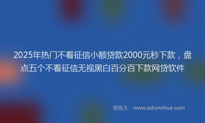 2025年热门不看征信小额贷款2000元秒下款，盘点五个不看征信无视黑白百分百下款网贷软件