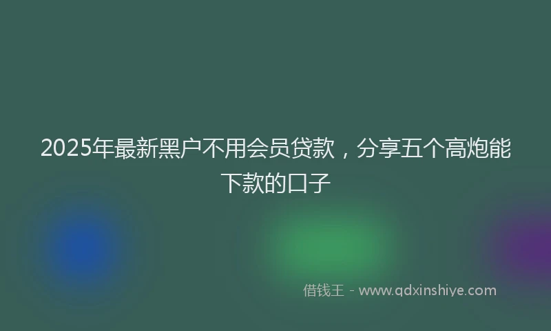 2025年最新黑户不用会员贷款，分享五个高炮能下款的口子