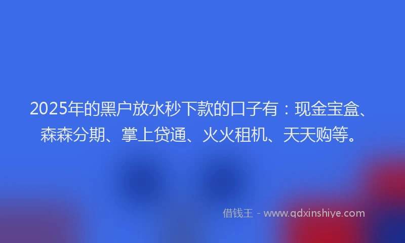 2025年的黑户放水秒下款的口子有：现金宝盒、森森分期、掌上贷通、火火租机、天天购等。