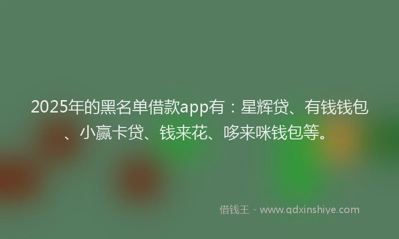 2025年的黑名单借款app有：星辉贷、有钱钱包、小赢卡贷、钱来花、哆来咪钱包等。