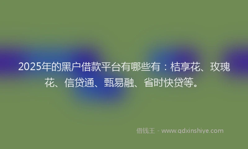 2025年的黑户借款平台有哪些有：桔享花、玫瑰花、信贷通、甄易融、省时快贷等。