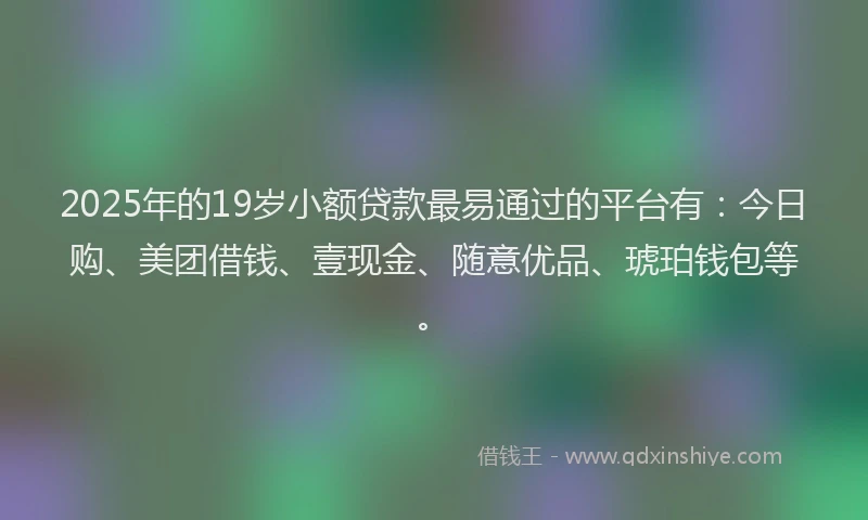 2025年的19岁小额贷款最易通过的平台有：今日购、美团借钱、壹现金、随意优品、琥珀钱包等。