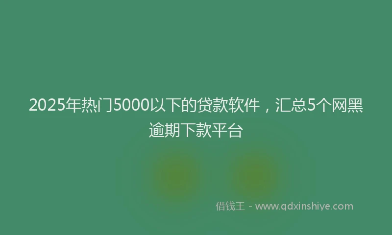 2025年热门5000以下的贷款软件，汇总5个网黑逾期下款平台