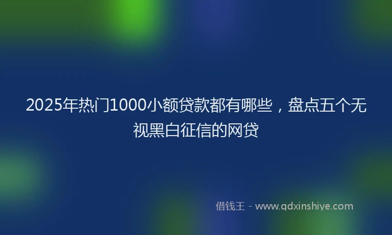 2025年热门1000小额贷款都有哪些，盘点五个无视黑白征信的网贷