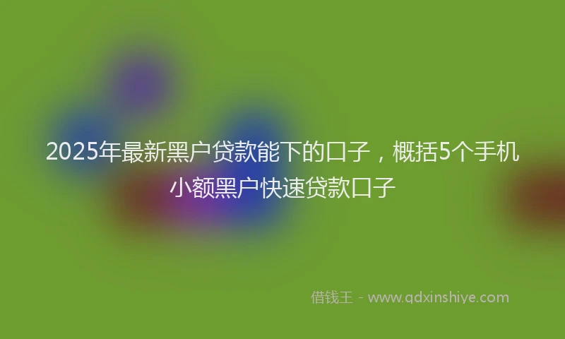 2025年最新黑户贷款能下的口子，概括5个手机小额黑户快速贷款口子