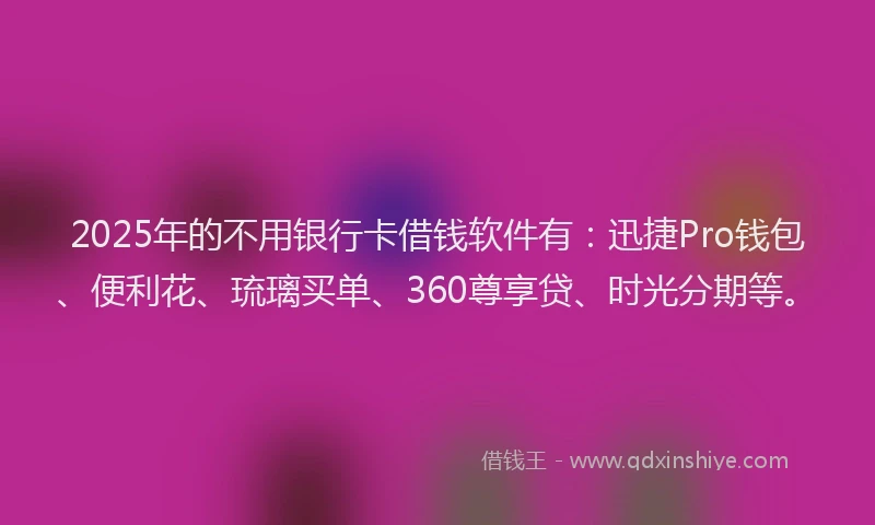 2025年的不用银行卡借钱软件有：迅捷Pro钱包、便利花、琉璃买单、360尊享贷、时光分期等。