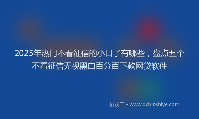 2025年热门不看征信的小口子有哪些，盘点五个不看征信无视黑白百分百下款网贷软件