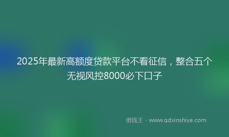 2025年最新高额度贷款平台不看征信，整合五个无视风控8000必下口子