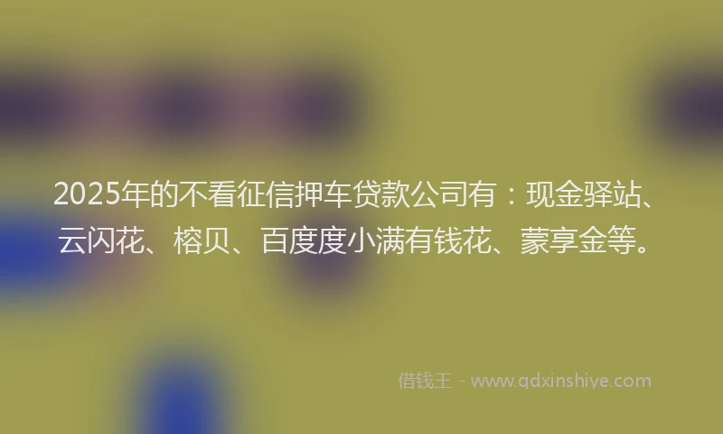 2025年的不看征信押车贷款公司有：现金驿站、云闪花、榕贝、百度度小满有钱花、蒙享金等。