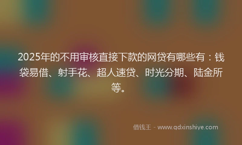 2025年的不用审核直接下款的网贷有哪些有：钱袋易借、射手花、超人速贷、时光分期、陆金所等。