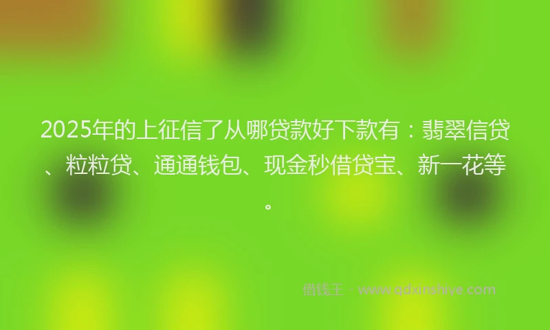 2025年的上征信了从哪贷款好下款有：翡翠信贷、粒粒贷、通通钱包、现金秒借贷宝、新一花等。