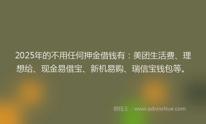 2025年的不用任何押金借钱有:美团生活费、理想给、现金易借宝、新机易购、瑞信宝钱包等。