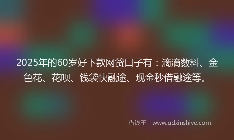 2025年的60岁好下款网贷口子有：滴滴数科、金色花、花呗、钱袋快融途、现金秒借融途等。