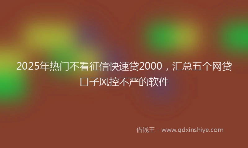2025年热门不看征信快速贷2000，汇总五个网贷口子风控不严的软件