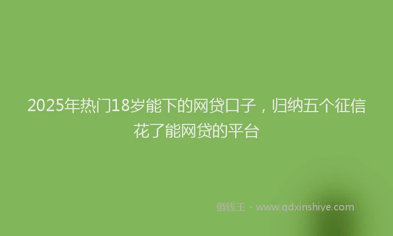 2025年热门18岁能下的网贷口子，归纳五个征信花了能网贷的平台