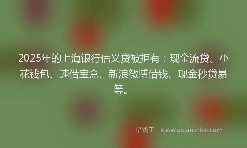 2025年的上海银行信义贷被拒有：现金流贷、小花钱包、速借宝盒、新浪微博借钱、现金秒贷易等。