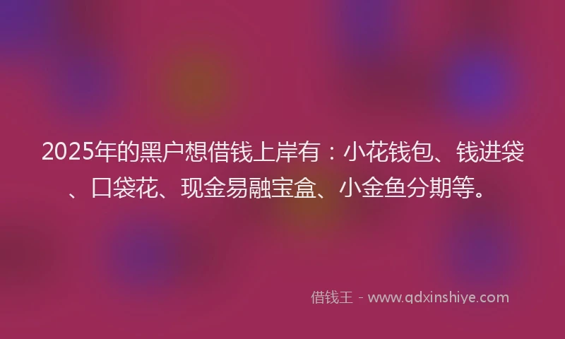 2025年的黑户想借钱上岸有：小花钱包、钱进袋、口袋花、现金易融宝盒、小金鱼分期等。