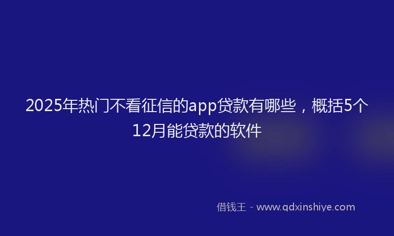 2025年热门不看征信的app贷款有哪些，概括5个12月能贷款的软件