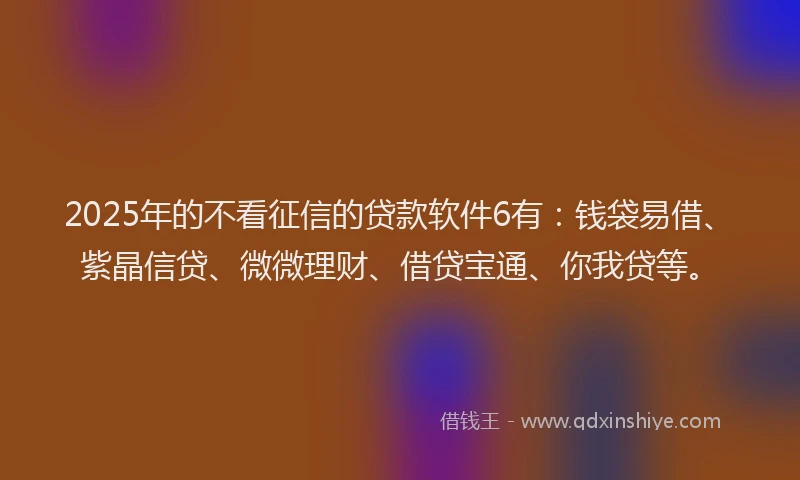 2025年的不看征信的贷款软件6有：钱袋易借、紫晶信贷、微微理财、借贷宝通、你我贷等。