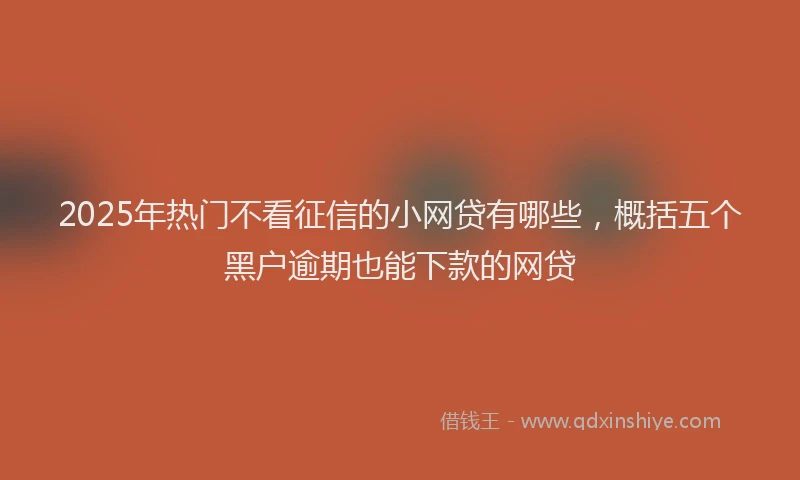 2025年热门不看征信的小网贷有哪些，概括五个黑户逾期也能下款的网贷