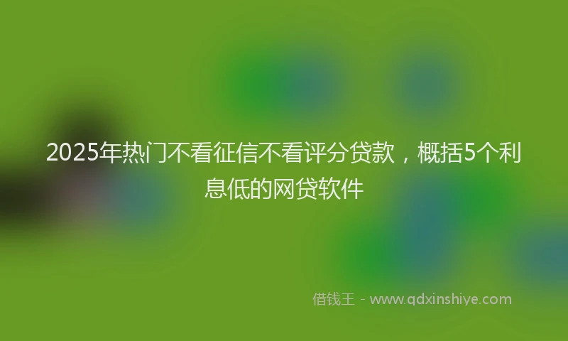 2025年热门不看征信不看评分贷款，概括5个利息低的网贷软件
