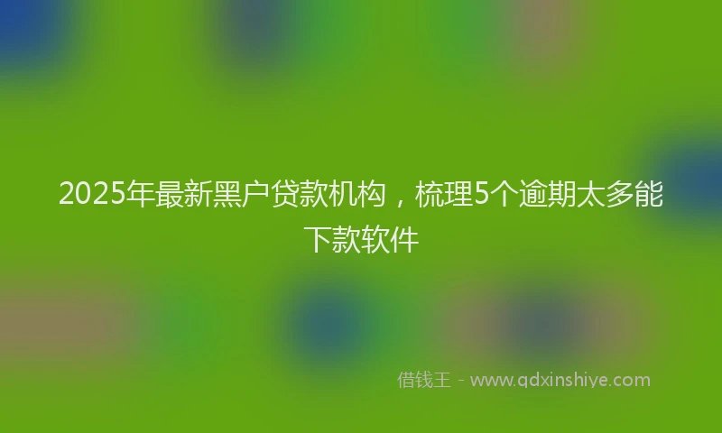 2025年最新黑户贷款机构，梳理5个逾期太多能下款软件