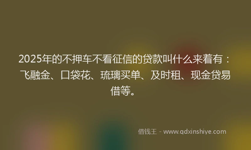 2025年的不押车不看征信的贷款叫什么来着有：飞融金、口袋花、琉璃买单、及时租、现金贷易借等。