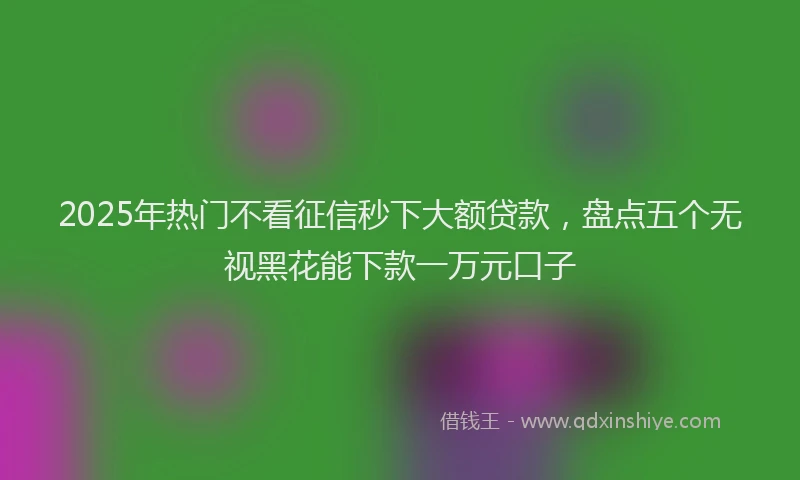 2025年热门不看征信秒下大额贷款，盘点五个无视黑花能下款一万元口子