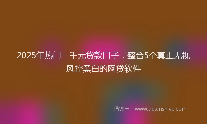 2025年热门一千元贷款口子，整合5个真正无视风控黑白的网贷软件