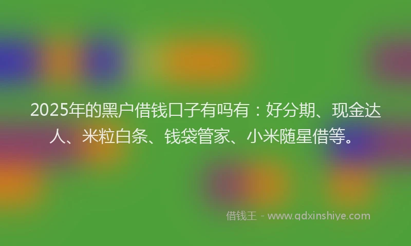 2025年的黑户借钱口子有吗有：好分期、现金达人、米粒白条、钱袋管家、小米随星借等。