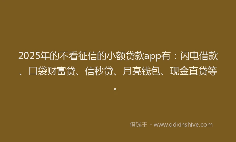 2025年的不看征信的小额贷款app有：闪电借款、口袋财富贷、信秒贷、月亮钱包、现金直贷等。