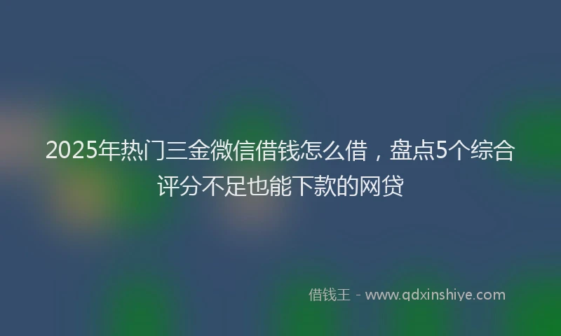 2025年热门三金微信借钱怎么借，盘点5个综合评分不足也能下款的网贷
