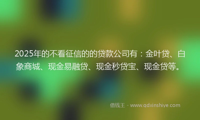 2025年的不看征信的的贷款公司有：金叶贷、白象商城、现金易融贷、现金秒贷宝、现金贷等。