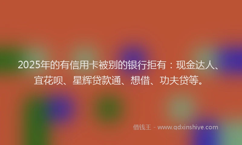 2025年的有信用卡被别的银行拒有：现金达人、宜花呗、星辉贷款通、想借、功夫贷等。